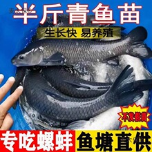 �~�����~�ݽz���͵ĺ��~����·�~����B����ش������~�����̫��