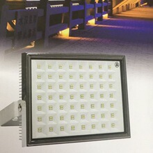 �Ϻ�����ZY338-LED100�߁���1923�����Ɵ���Ͷ�ⷺ�����