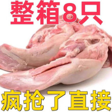 6只生猪舌头新鲜口条农家散养土猪肉猪舌卤味食材2速冻包邮亚马逊