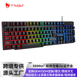 T-WOLF����T20�Α��I�P�о��l�Ⱒ���������������Z��X�I�P�羳