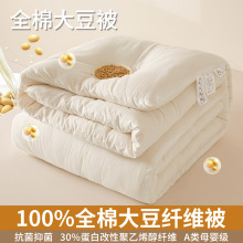 A类全棉大豆被30%蛋白改性聚乙烯醇纤维被纯棉被子被芯春秋被冬被