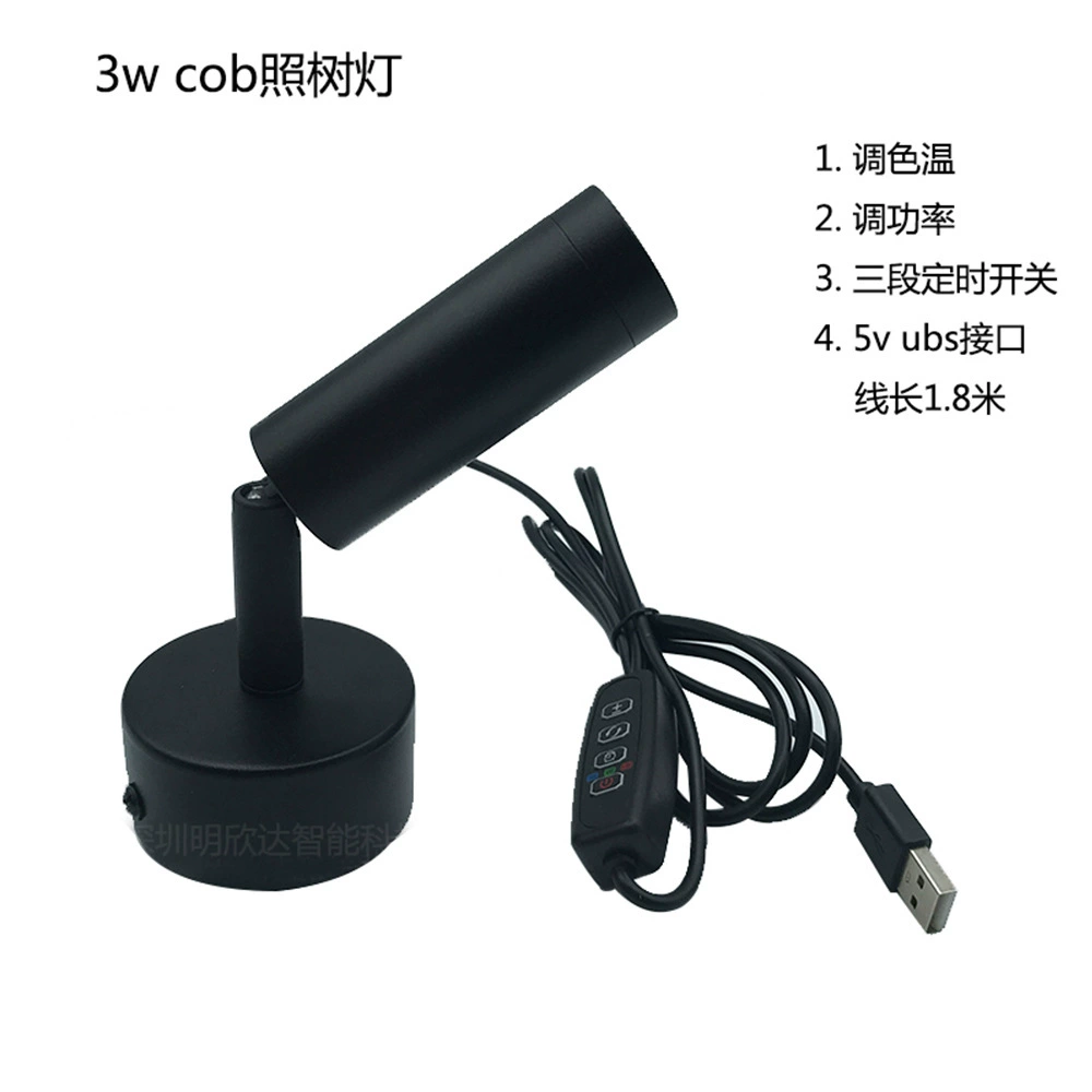 Wall sconce, switch key for gazebo, lights, 3W, (US plug), 1.8m, three colors