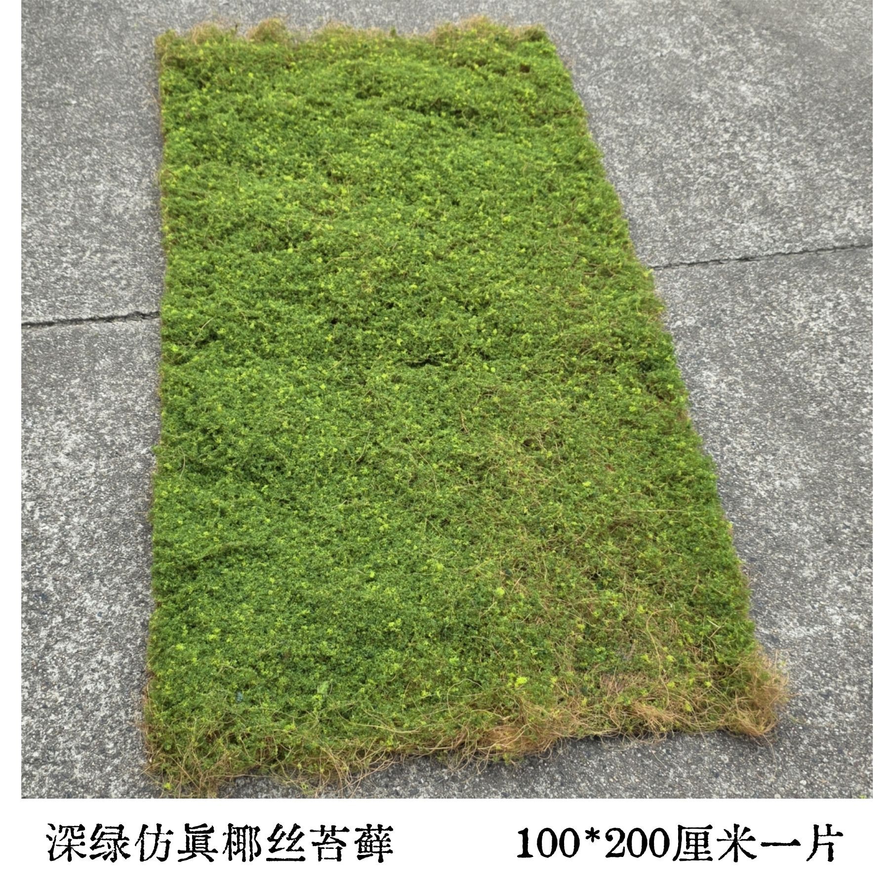 Coconut moss dark green [100cm*200cm]