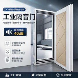 厂家直销钢质钢制隔音门防火隔音门隔音卧室门室内门平开式