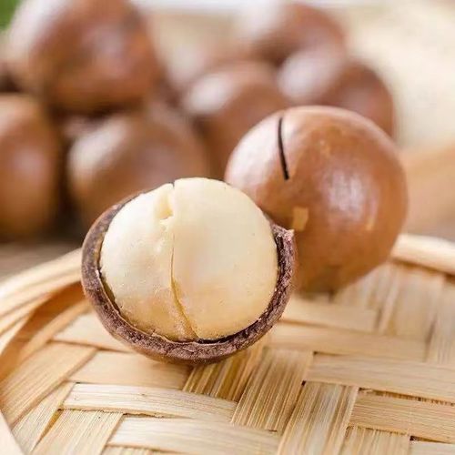 Thin-skinned creamy macadamia nuts wholesale 250g open walnut snacks New Year's nuts Hawaii