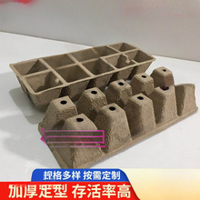 �l�����P���{����P�ɽ���������� �����籭���@ˇ����I�B��