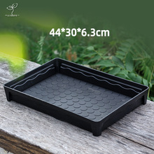 ��ˮ�����ֲ�ﻨ�������ռ{�P�L�������Ϻ�ɫ���бP���D��ˮ�P