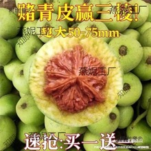 ���Ǫ{���^����y���ñ��Ƥ�������ـ��Ƥ���ܳ�����������̫��