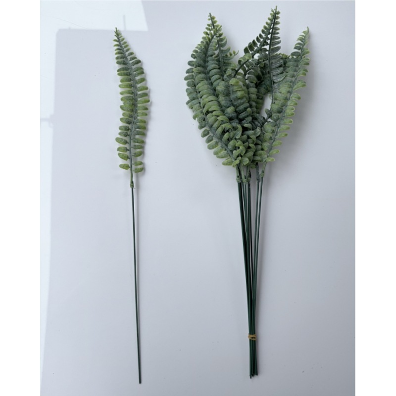 긴 페르시아 잎