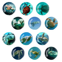 �羳������ﺣ���D�� �r�⌚ʯ�����NƬܛ�ű����N12��һ���¿�