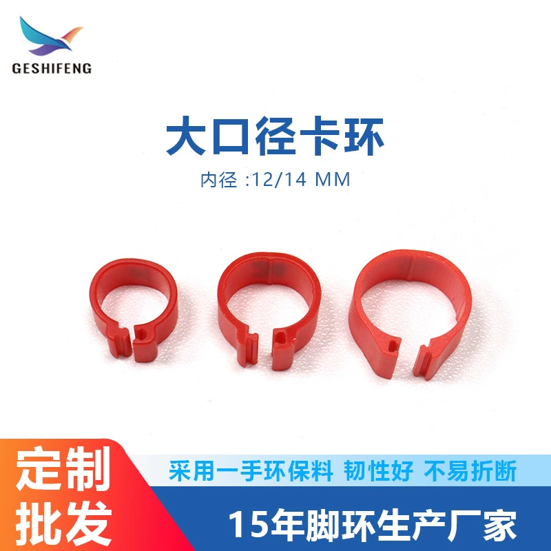 Птичье кольцо Птичье кольцо Птичье кольцо Птичье кольцо