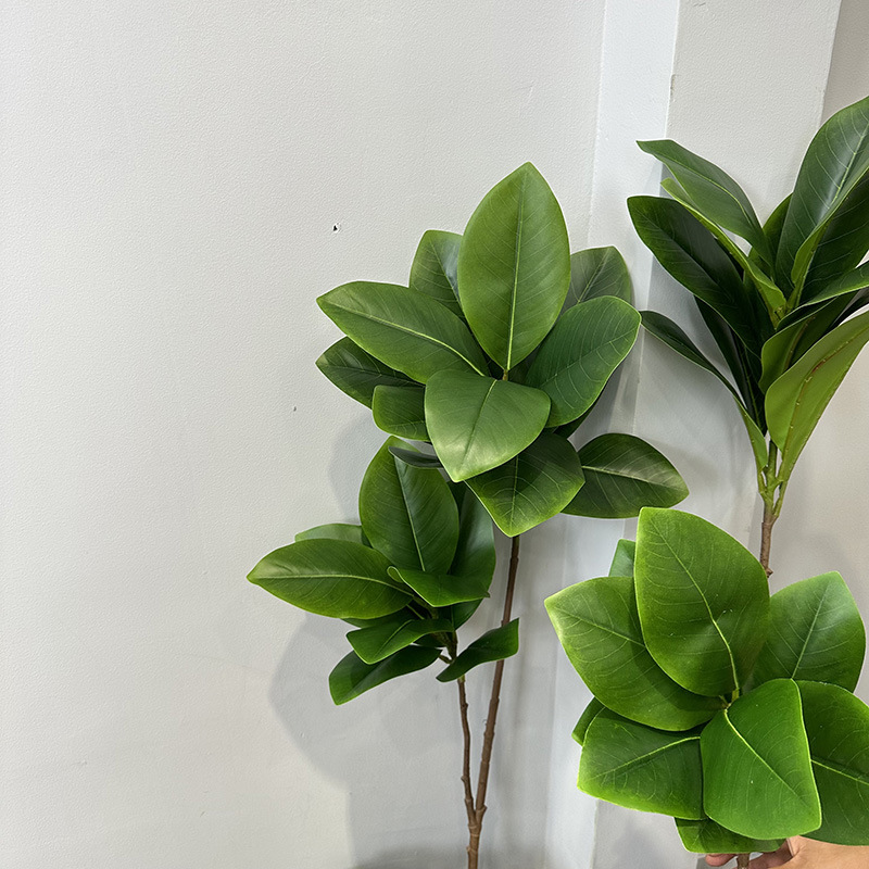 Lifelike Magnolia Leaves