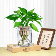 �G�}��ˮ�������҃ȑ��˳���ȩ�����՚��k�����͏d�Gֲ͸���G�j��