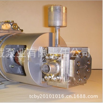 精密齿轮泵TMA 不锈钢泵 高粘度泵 高温泵 斜齿泵 高压泵