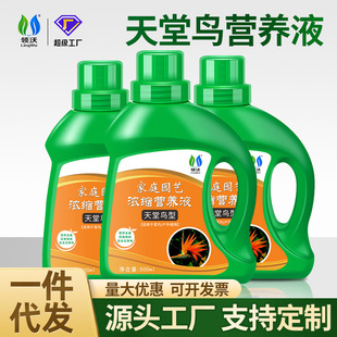 Lingwo Bird of Paradise Special Nutrient Solution Dropshipping Wholesale Green Plants Florals Plant Flower Growing Fertilizer Universal Concentrated