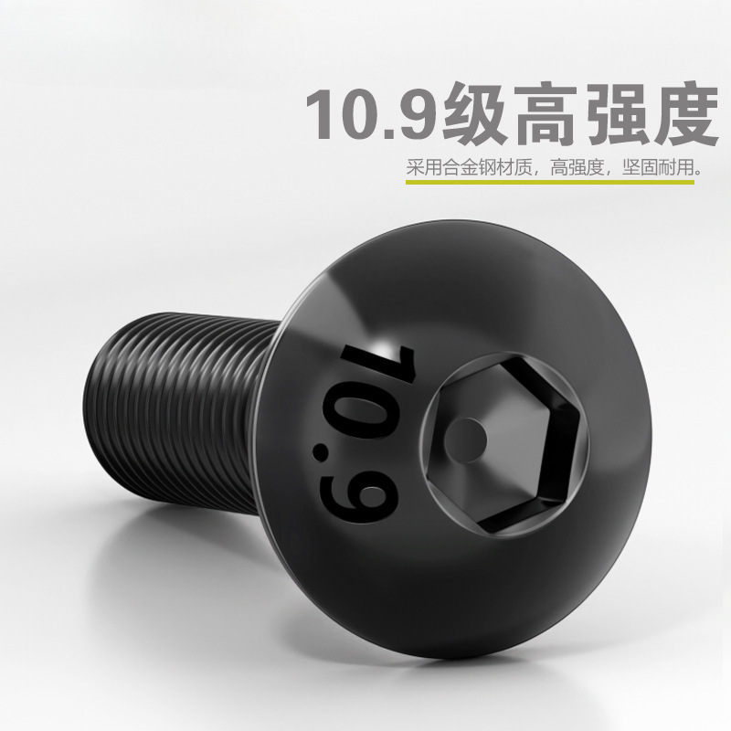 グレード 10.9 半丸頭六角穴付きネジ丸皿頭六角穴付きボルト 2M3M4M5M6M8M10M12M16|undefined