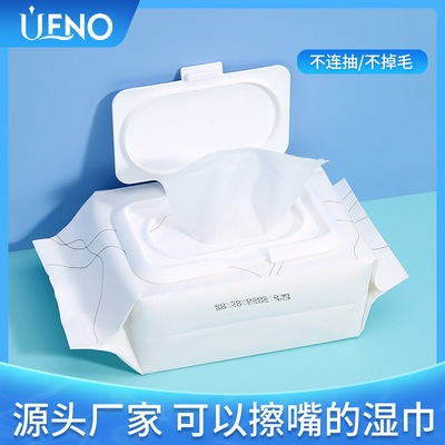 UENO On behalf of Moderate Cleansing Wipes 120 Draw Non-woven fabric Clamshell Bag Wet wipes wholesale UEN065