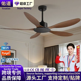 风扇灯;吸顶灯;吊扇