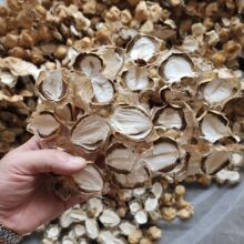 �Ĵ����e���خa���p��Ƭ��؛��̥����̥�r�����ϵ�50-500g