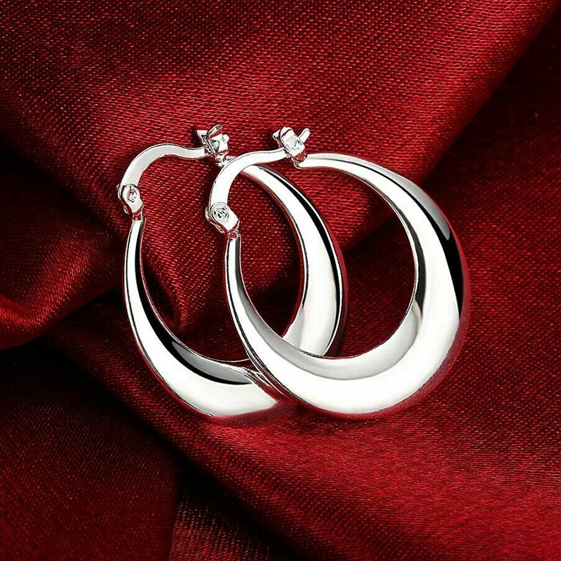 Holiday, Daily, Shopping Occasion 1 Pair IG Style Modern Style Commute U Shape Round Plating Copper Earrings