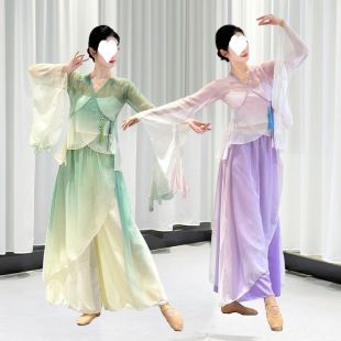 Classical Dance Gauze Elegant Chinese Dance Performance Dress Female Fairy Summer Mesh Pink Green Purple Ancient Style Folk Dance