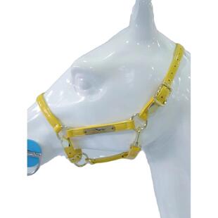 �R�\�^���氰������R��������Ƥ�R�g�R�\�^���{���\�^���R�����^