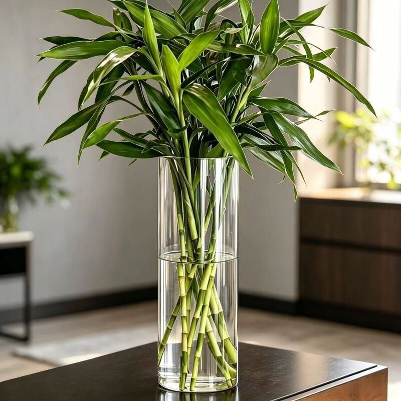 Straight glass vase for hydroponic flower arrangements, high-end creative decorative vase for lucky bamboo, living room hydroponic vase ornament