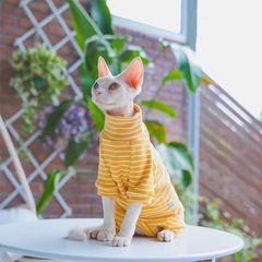 ペット服猫の春夏の新型のお腹を保護します。