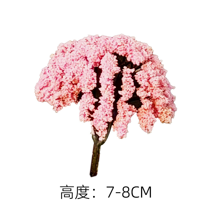 Персиковое дерево