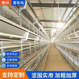 全自动养殖青年鸡笼养殖场鸡舍养鸡养殖鸡笼组合式养鸡笼配套设备