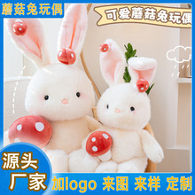 �¿�Ģ���ù��пɐ�ë�q���С������ż���������������նY�����l