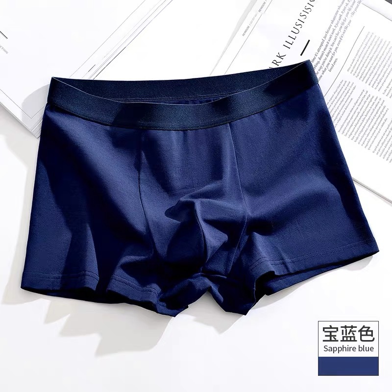 951 퓨어 코튼 로얄 블루