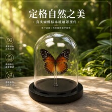 ������˱��������֔[����չ���Ʒ���ߵ��G�����P�����նY�ͯ