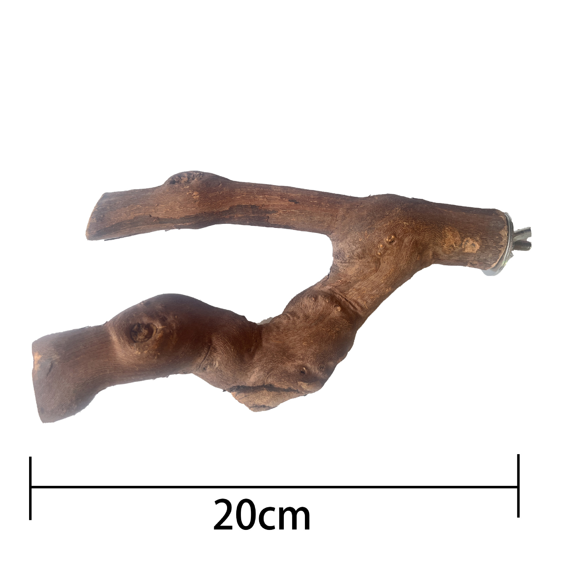 Percha de Madera de Vid de Doble Rama para Loro y Aves image 10