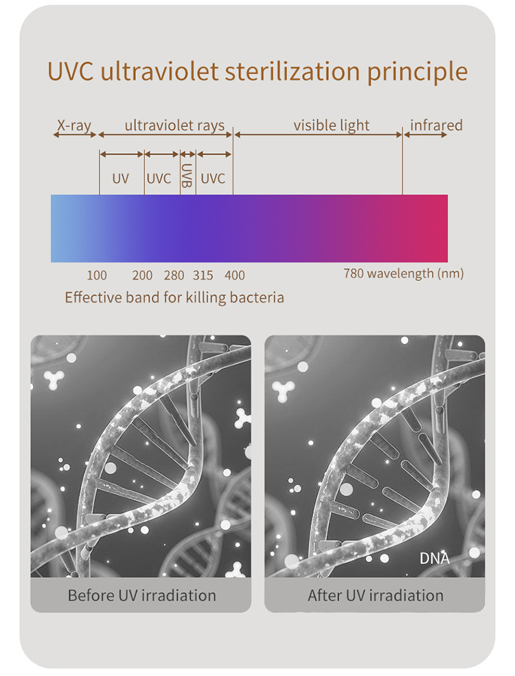 消毒牙刷架-拷贝_06