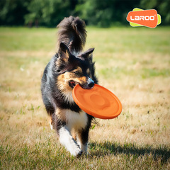 Laroo Leinuo beginner-friendly toy pet interactive friend gathering outdoor activity Border Collie training soft flying disc