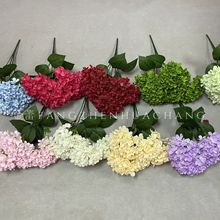 5�^225Ƭ�������򻨶��Y�b��滨���l·���������ý����羳��