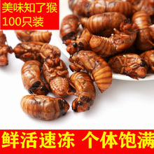 r֪˺rҰssӼs֪200/100/50ֻ]]