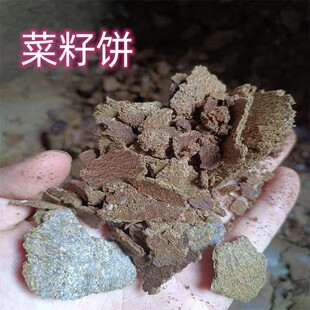 �������~��C�ϻ������Ͳ���ʲ��ɻ���ϼ�ţ�����