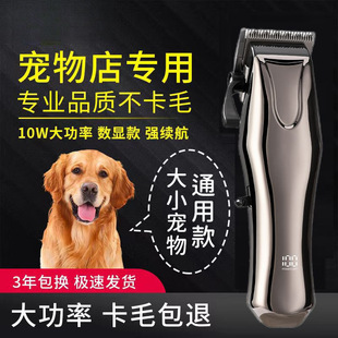 A���I������ë��������Ƽ���ë����Ȯ��������ӌ������؈D