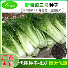 �x����̖��ײ˷N����ڰ�ȫ�G�ײ˸ߘ��������ļ����r���߲˷N��