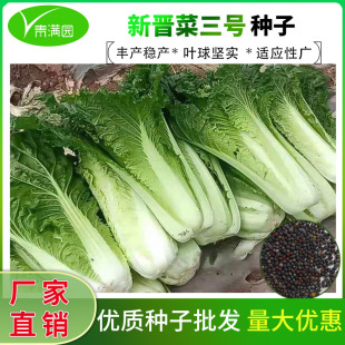 �x����̖��ײ˷N����ڰ�ȫ�G�ײ˸ߘ��������ļ����r���߲˷N��