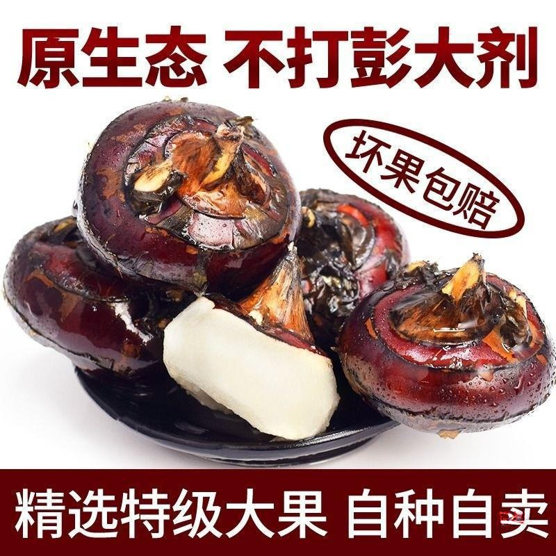 Fresh Water Chestnuts, Large Fruits, Chestnuts, Pears, Farm Fruits and Vegetables, Freshly Dug Water Chestnuts, Wholesale Yams