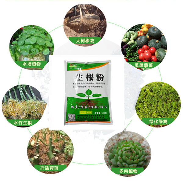 Powerful rooting powder Monthly succulent plants universal cuttings…