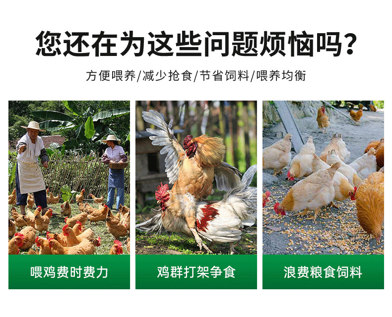 详情_02.png