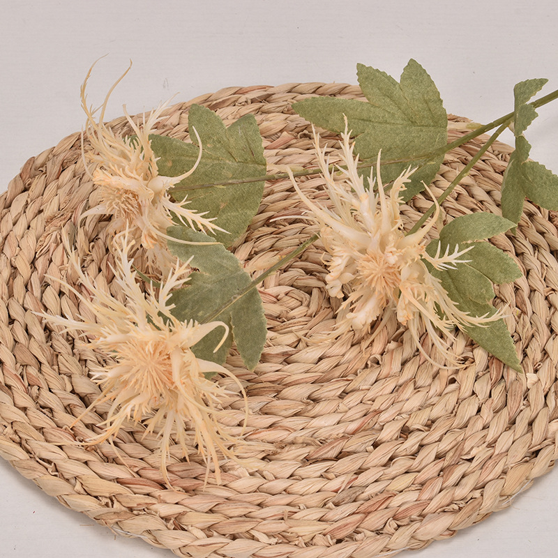 3 heads of celery champagne color