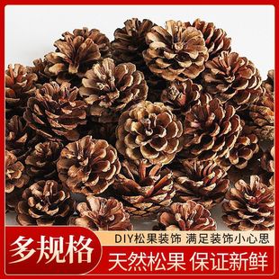 ������ ���� ������ �ɼ���ɻ����~���}�Q���b��ɹ��ɻ�DIY�b�