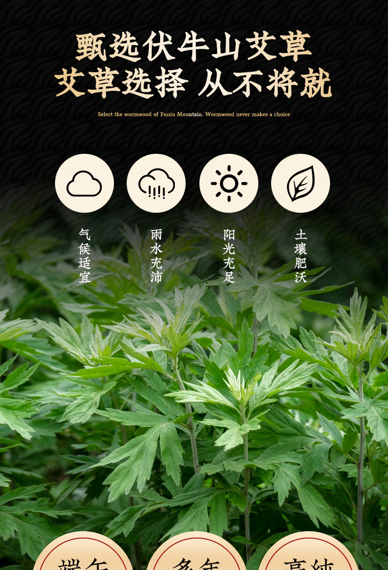 20:1 Moxa Wool Ai Rong 五年陈艾绒 1000g Bulk Mugwort Floss for Moxibustion Sticks and Cones key features