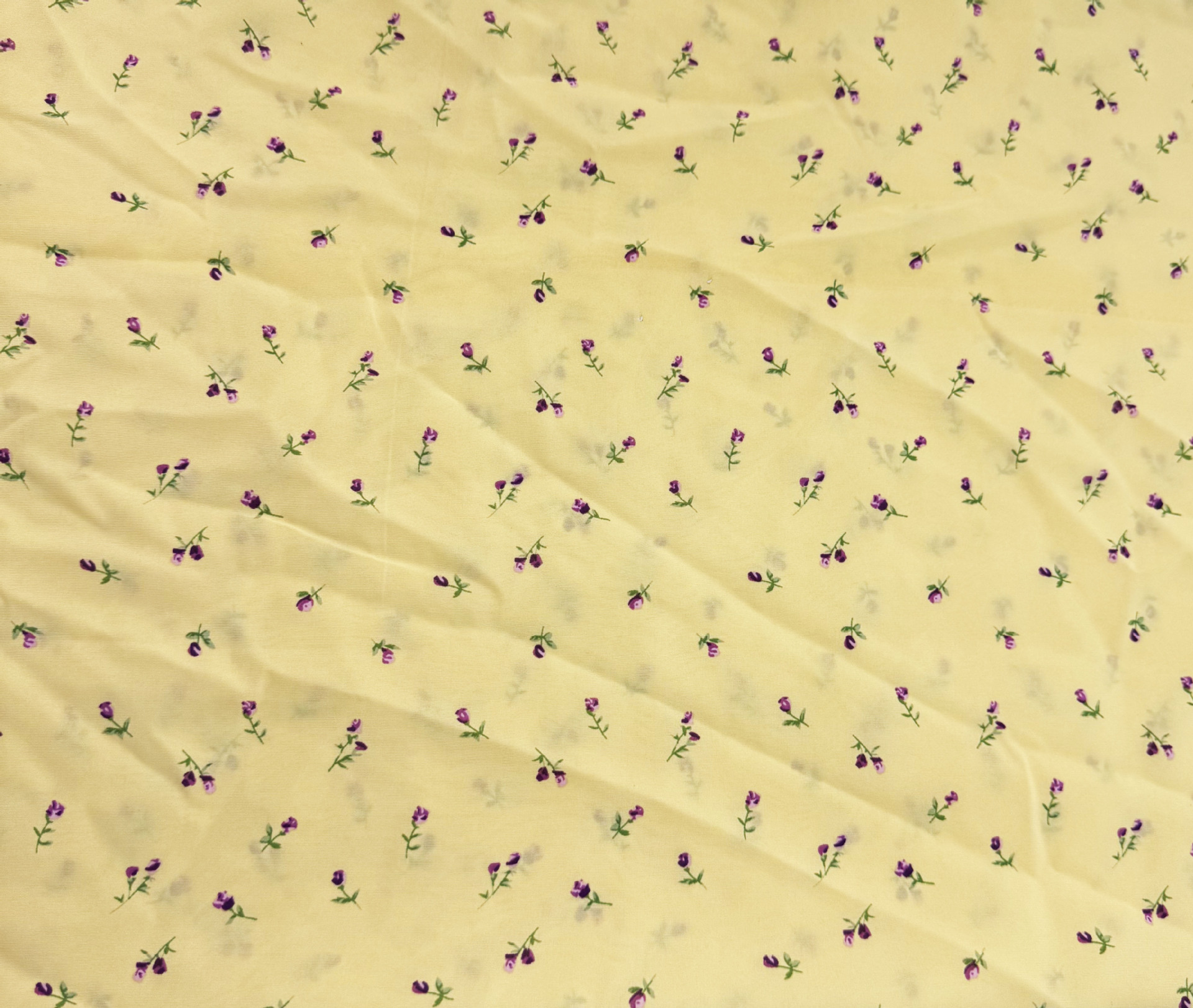 微信图片_20250320114348