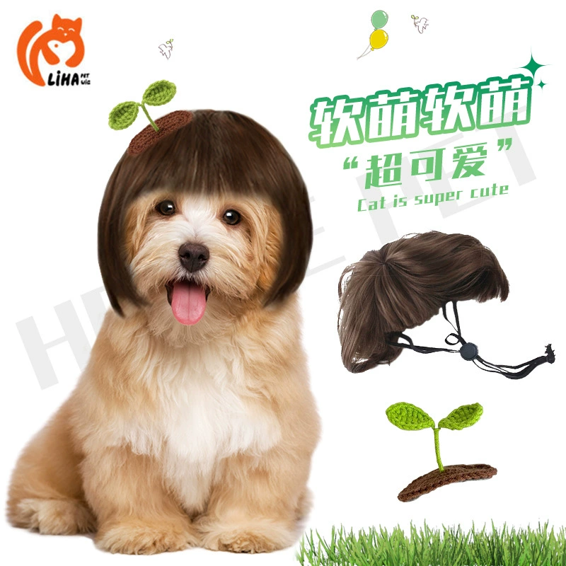 Любимая кошка-собака-шпилька для волос питомца-собака-вязая трехмерная трава ростки бобов зеленые листья bb-клип креативная челка